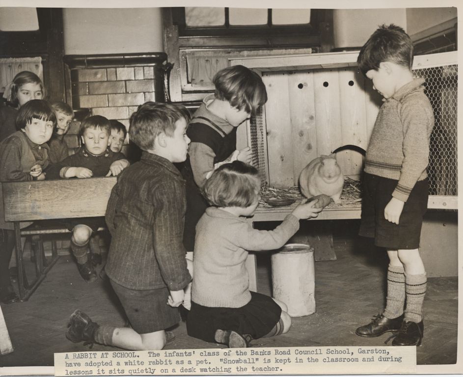 BANKS ROAD.  FEEDING  THE RABBIT 1938